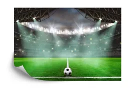 fototapeta-pilka-nozna-stadion-vinyl-gladki-520x318