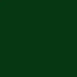 lakier-saks-zielony-mech-400ml-ral6005