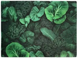 aria-deska-szklana-40x30cm-salata