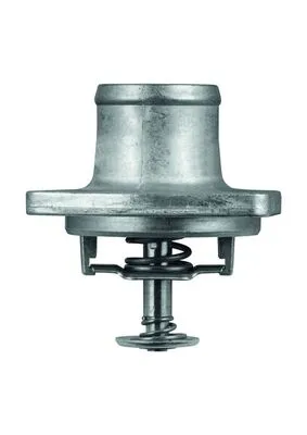 termostat-mb-mahle-original