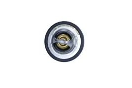 termostat-renault-89c-megane-termostat-renault-89c-megane