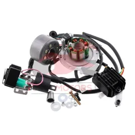 zaplon-simson-rzt-power-delta-21-digital-ecu-6-1-rzt9020012