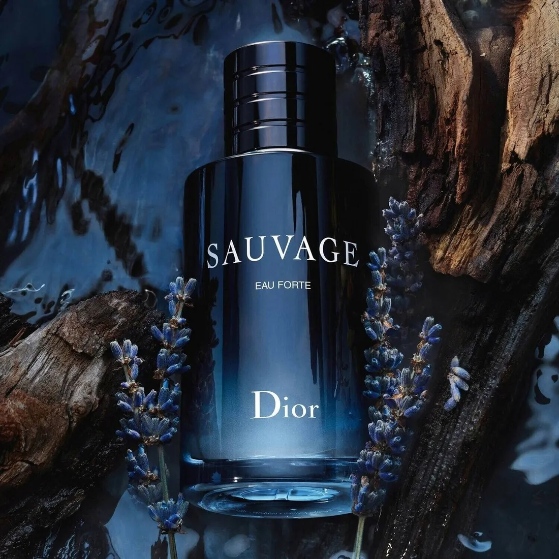 dior-sauvage-eau-forte-parfum-60ml