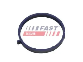 uszczelka-kolektora-ford-transit-06greater-ssacy-11greater-2-2-tdci