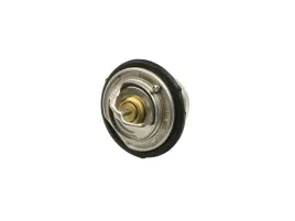 termostat-mercedes-w124-w140-w202-w210