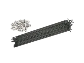spokes-14g-234