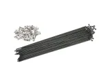 spokes-14g-180