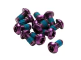 reverse-disc-rotor-bolt-set-12-pc-purple