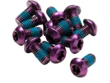 reverse-disc-rotor-bolt-set-12-pc-purple-marka-reverse