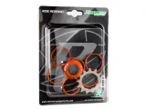 reverse-hg-single-speed-kit-13t-orange-model-single-speed-kits
