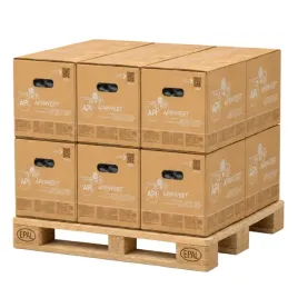 syrop-apiinvert-16kg-12-kartonow-192-kg-pokarmu-dla-pszczol-sudzucker