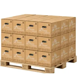 syrop-apiinvert-16kg-x-36-pokarm-karton-sudzucker-paleta-duza-ilosc