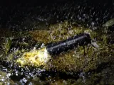latarka-fenix-e01-v2-0-100-lm-cechy-dodatkowe-kurzoodpornosc-wodoodpornosc-wstrzasoodpornosc