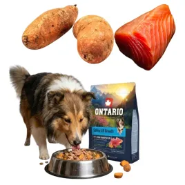 ontario-mono-225kg-karma-monoproteinowa-dla-starszych-psow-tunczyk-batat