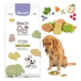 przysmaki-dla-psa-ciasteczka-biszkopty-trenerki-mix-wege-bez-cukru-1kg