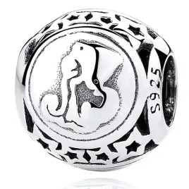 srebrny-koralik-charms-beads-znak-zodiaku-wodnik