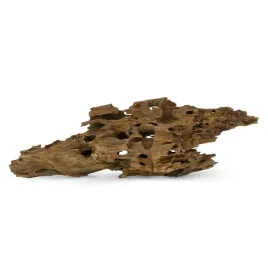naturalny-korzen-ciety-shrimp-wood-do-akwarium-i-terrarium-1kg