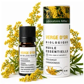 olejek-eteryczny-naturalny-nawloc-kanadyjska-bio-5ml-aromaterapia-spa-sauna