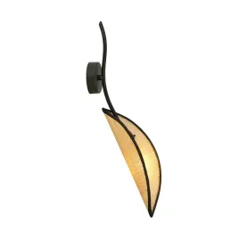 lotus-k1-black-rattan