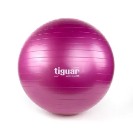 tiguar-pilka-body-ball-safety-plus-65-cm-sliwka