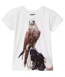 t-shirt-dzieciecy-wadera-jasny-sokol-146-152