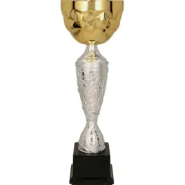 puchar-metalowy-zloto-srebrny-4186a