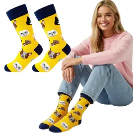 skarpetki-kolorowe-koty-zolte-bawelna-80percent-funny-socks-little-angel