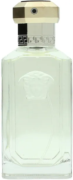 versace-dreamer-edt-m-100-ml-kod-taryfy-celnej-33030090