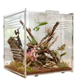 przejrzyste-terrarium-akrylowe-diversa-o-wymiarach-15x15x15-cm-dla-owadow