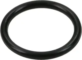 pierscien-uszczelniajacy-o-ring-698550