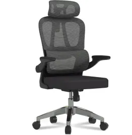 krzeslo-ergonomiczne-biurowe-flexispot-oc19-siatka-podparcie-c-2d-czarne