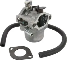 gaznik-590399-briggs-and-stratton