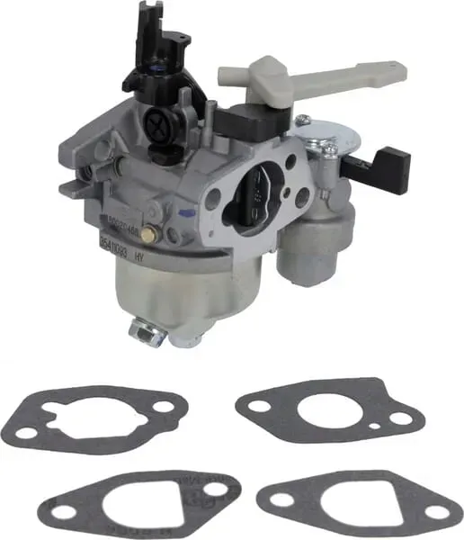 gaznik-596080-briggs-and-stratton