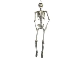 wiszacy-szkielet-175-cm
