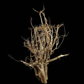 korzen-ancient-root-do-akwarium-b12-130x90x60-cm