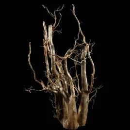 korzen-ancient-root-do-akwarium-b11-53x30x27-cm