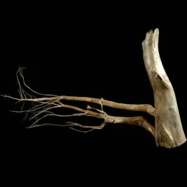 korzen-ancient-root-do-akwarium-b10-100x50x15-cm