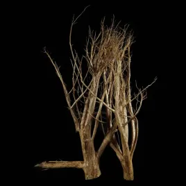 korzen-ancient-root-do-akwarium-b6-130x80x50-cm