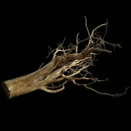 korzen-ancient-root-do-akwarium-b3-90x80x50-cm