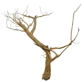 korzen-ancient-root-do-akwarium-56x60x20cm-1094