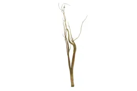 korzen-ancient-root-do-akwarium-110x40x10cm-1083