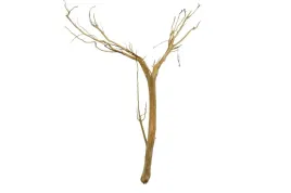 korzen-ancient-root-do-akwarium-70x50x20cm-1084