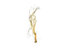 korzen-ancient-root-do-akwarium-75x25x10cm-1076