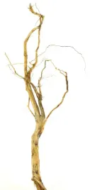 korzen-ancient-root-do-akwarium-110x30x15cm-1015