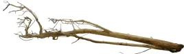 korzen-ancient-root-do-akwarium-150x30x15cm-1106