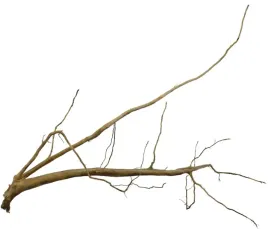 korzen-ancient-root-do-akwarium-100x70x10cm-1102