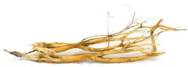 korzen-ancient-root-do-akwarium-100x40x15cm-1013