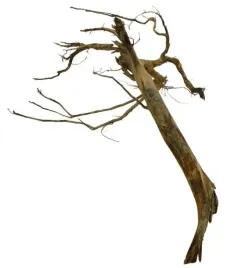 korzen-ancient-root-do-akwarium-85x40x50cm-1191