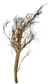 korzen-ancient-root-do-akwarium-80x30x20cm-1189
