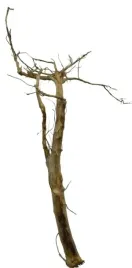 korzen-ancient-root-do-akwarium-90x40x30cm-1175